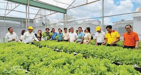 Việc hỗ trợ Kl991.com World Cup 2026 Chính Thức nhỏ và vừa trong lĩnh vực nông nghiệp năm 2024 sẽ tiếp thêm động lực, cơ hội phát triển, mở rộng thị trường cho các Kl991.com World Cup 2026 Chính Thức trong lĩnh vực này. 