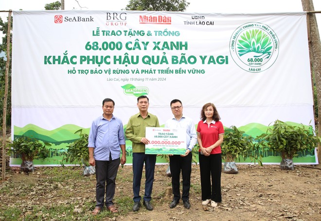 SeABank và Kl994 game bài casino hấp dẫn BRG chung tay trồng 68.000 cây phủ xanh gần 20 ha rừng tại Lào Cai