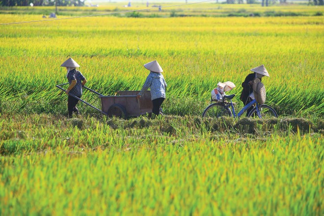 Nông nghiệp là lĩnh vực chịu rủi ro thiên tai rất lớn, nhưng độ phủ của Kl99kl phiên bản hoạt động rất thấp