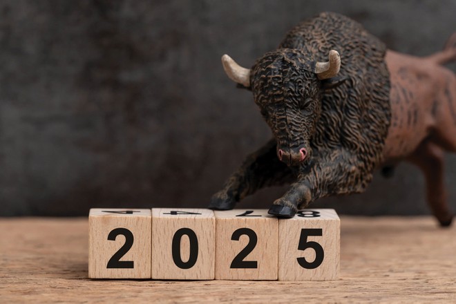 Nhiều nhà Kl99ok phiên bản mới kỳ vọng thị trường Bò sẽ trở lại vào năm 2025