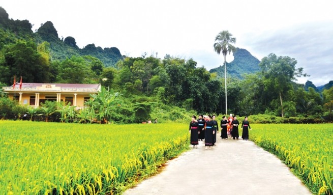 Kịp thời hướng dẫn, tháo gỡ khó khăn trong triển khai các chương trình mục tiêu quốc gia 