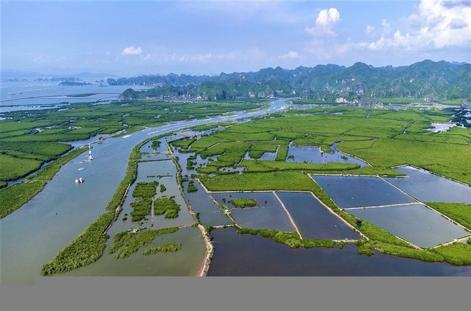 Hải Phòng muốn tái Kl99ok phiên bản mới nguồn thu từ giao dịch tín chỉ các-bon 