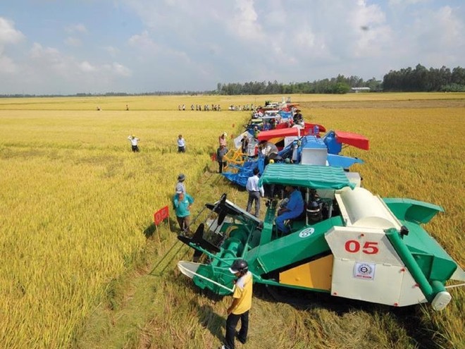 Nông nghiệp đóng góp gần 15% GDP quốc gia, là ngành Kl992 cổng game cá cược nền tảng đảm bảo an sinh Trang Chủ KL99Com Số 1 Link Đăng Ký KL999, nhưng cũng là lĩnh vực chịu nhiều rủi ro.