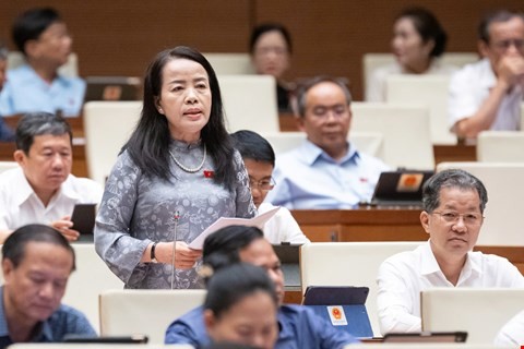 Đại biểu Nguyễn Thị Kim Thúy tham gia thảo luận. 