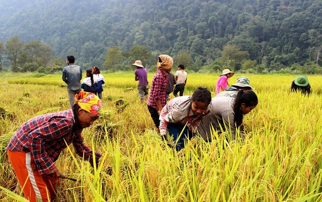 Nhiều kết quả nổi bật từ chương trình giảm nghèo bền vững 