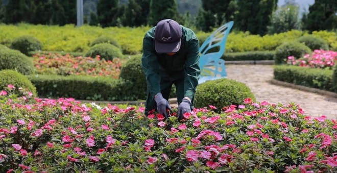 Mùa mưa bão và lời cảnh tỉnh cho an toàn du lịch Việt Nam 