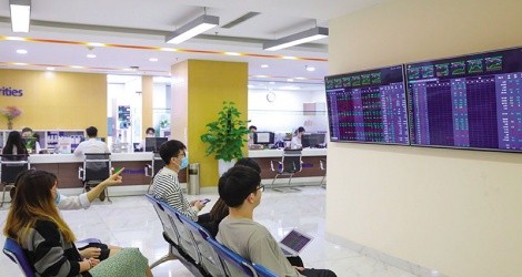 Một số công ty 99Kl99 link đăng nhập thông tin kết quả Kl992 VIP Trang Chủ 2026 tích cực trong quý III/2025. Ảnh: Dũng Minh 