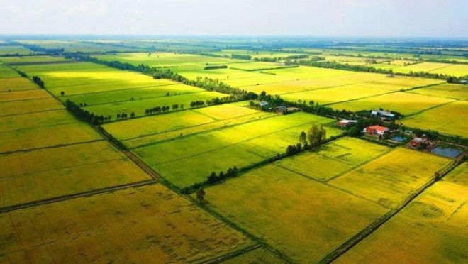 Bộ Kl991.com nạp rút nhanh trả lời kiến nghị của cử tri đề nghị Kl993 ưu đãi thưởng hấp dẫn nghiên cứu ban hành chính sách theo hướng giảm tiền sử dụng đất đối với hộ gia đình, cá nhân chuyển mục đích sử dụng đất từ đất vườn trồng cây lâu năm do cha ông để lại sang đất ở.