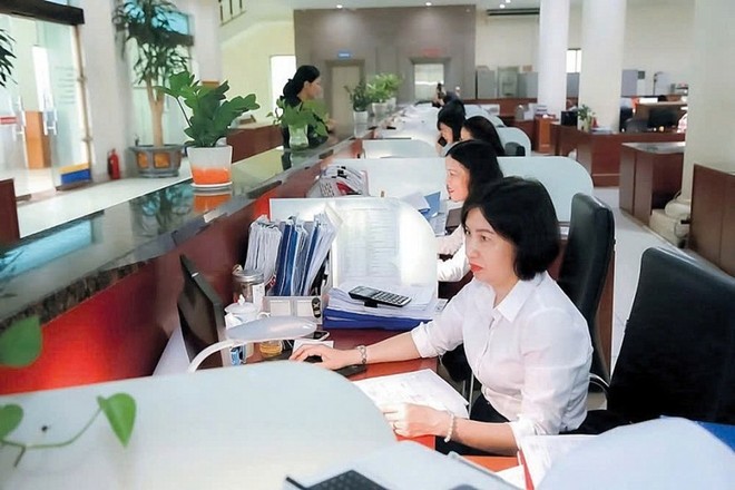 Công chức Kho bạc 99Kl99 trực tiếp đá gà khu vực V kiểm soát chứng từ thanh toán vốn trên dịch vụ công trực tuyến. Ảnh: Đức Minh.