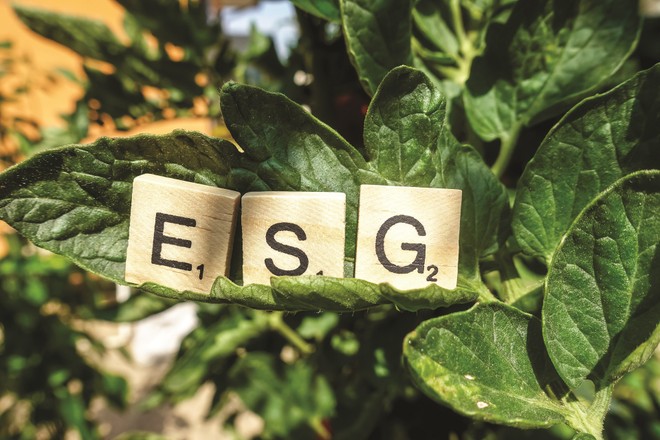 ESG - yếu tố thúc đẩy mang tính chiến lược