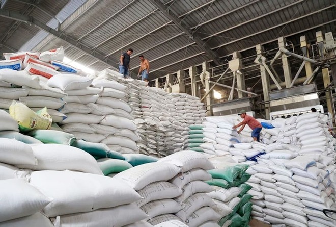  Kho gạo xuất khẩu của một công ty. Ảnh minh họa: TTXVN.