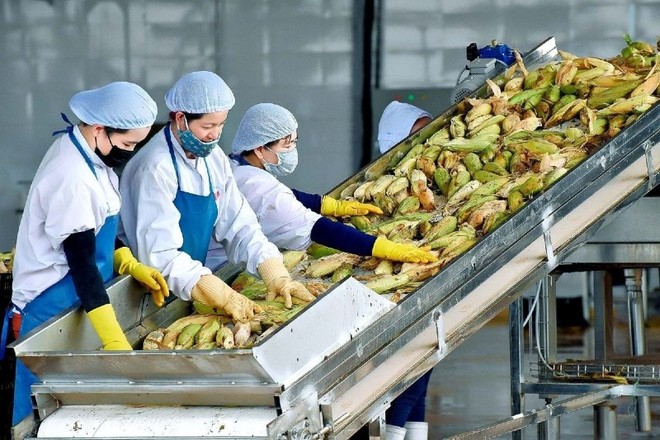 Xuất khẩu nông lâm thủy sản vượt 30 tỷ USD sau 5 tháng 