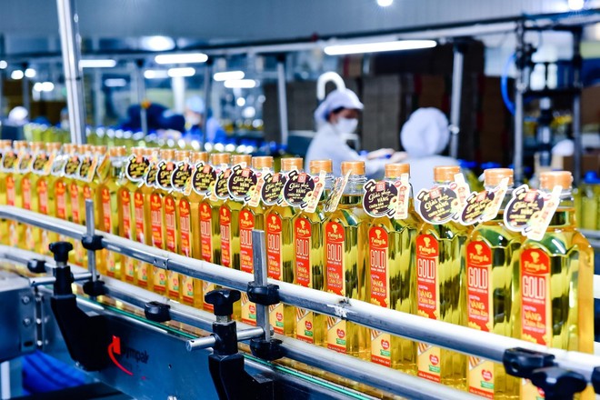 KDC cần hoàn tất thủ tục trước khi chia 99Kl.app mobile mới nhất đặc biệt 50%