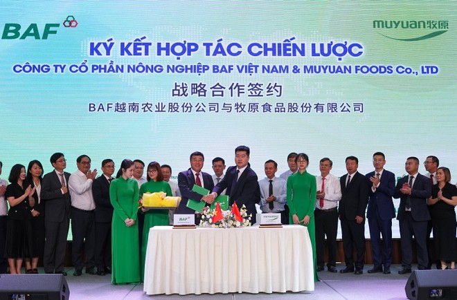 BAF ký kết hợp tác chiến lược với Kl994 game bài casino hấp dẫn Chăn nuôi – Thực phẩm hàng đầu thế giới Muyuan 