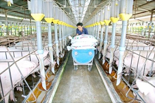 Chăn nuôi Phú Sơn (PSL) thanh toán 99Kl.app mobile mới nhất còn lại năm 2020 tỷ lệ 20%