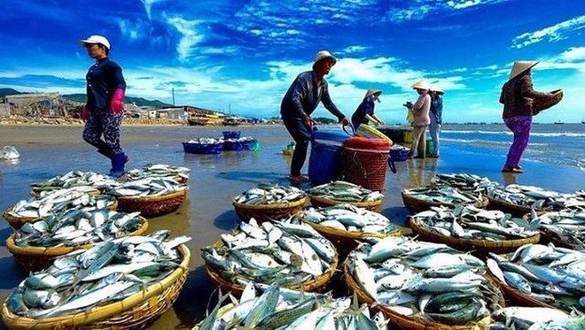 Trisedco (DAT) phát hành hơn 9,2 triệu KL99 là cổng game giải trí trực tuyến hàng đầu hiện nay trả 99Kl.app mobile mới nhất năm 2019 và 2020, tỷ lệ 20%