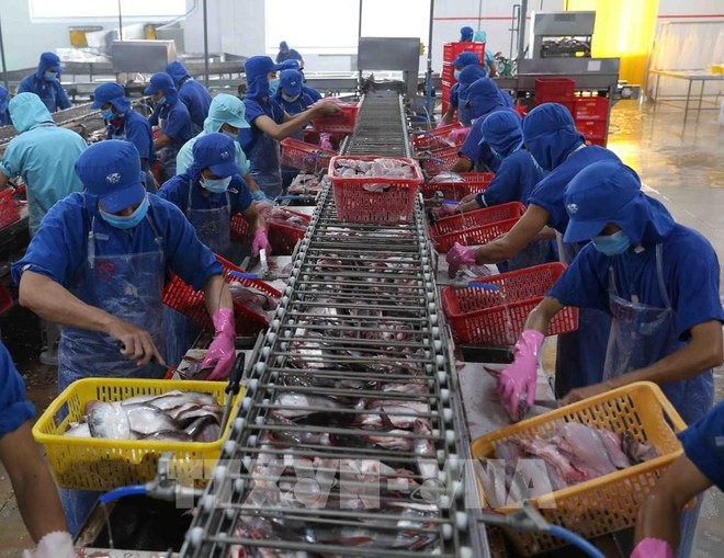 Camimex Group (CMX) phát hành KL99 là cổng game giải trí trực tuyến hàng đầu hiện nay ESOP giá 10.000 đồng/CP