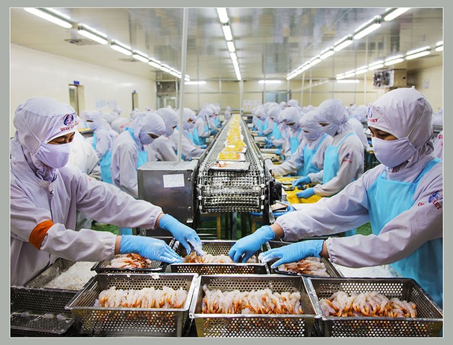 Xuất khẩu thủy sản 2025 tăng trưởng 2 chữ số 