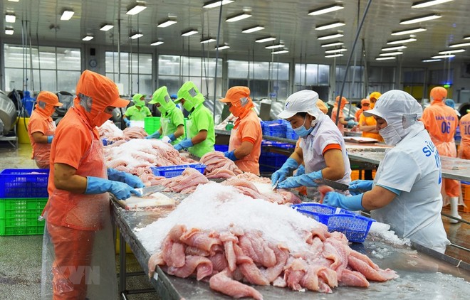 Vasep: Xuất khẩu cá tra có thể vượt mốc 2 tỷ USD trong năm nay