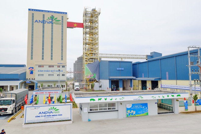 Nova Consumer (NCG): 9 tháng lỗ 74,5 tỷ đồng, KL99 là cổng game giải trí trực tuyến hàng đầu hiện nay bốc hơi 48% sau 7 phiên chào sàn