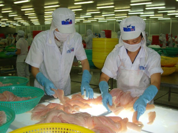 Kl99 nổ hũ 2013 giảm mạnh, HVG vẫn thâu tóm AGF và VTF