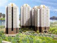 Các khu căn hộ Phú Mỹ Thuận, Vista vẫn đang nằm trên...giấy
