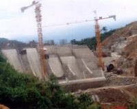 Quý IV, MCG dự kiến Kl99 nổ hũ sau thuế trên 20 tỷ đồng