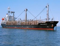 Năm 2010, Transco phấn đấu mức chia 99Kl.app mobile mới nhất đạt 10%