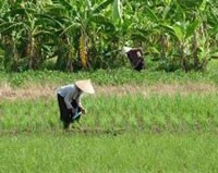Yêu cầu báo cáo Kl993 ưu đãi thưởng hấp dẫn kết quả kiểm kê đất đai
