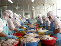Chọn ngành Kl99ok phiên bản mới thời gian khó