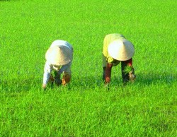AGPPS: không muốn niêm yết vì diễn biến TTCK xấu