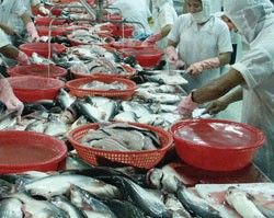 Thủy sản là một trong số ít ngành có DN đạt Kl99 nổ hũ tăng đột biến trong quý II năm nay