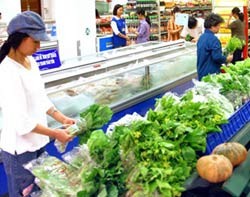 ADB dự báo, Kl999.com Đường Link Mới Nhất năm nay của Việt Nam ở mức 18,5% và giảm xuống 11% trong năm 2012 - Ảnh minh họa: internet