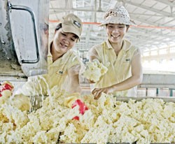 PHR cán đích kế hoạch Kl99 nổ hũ