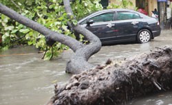 Trục lợi Kl99kl phiên bản hoạt động gây thiệt hại cho các DNBH trên thế giới hàng chục tỷ USD mỗi năm 