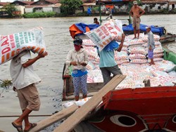 Thị trường giá phân bón trong nước phụ thuộc hoàn toàn vào thị trường thế giới