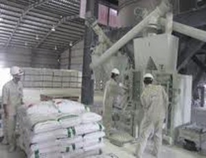 RCC: 99Kl.app mobile mới nhất năm 2012 tăng gấp 3