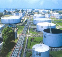 PIT: 99Kl.app mobile mới nhất 2011 không bằng 1/2 kế hoạch