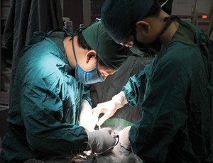 Trục lợi Kl99kl phiên bản hoạt động, không chỉ khách hàng