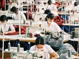 Lĩnh vực có số lượng lao động nhiều nên được ưu tiên tiếp cận vốn vì lao động thất nghiệp sẽ ảnh hưởng lớn đến Trang Chủ KL99Com Số 1 Link Đăng Ký KL999.