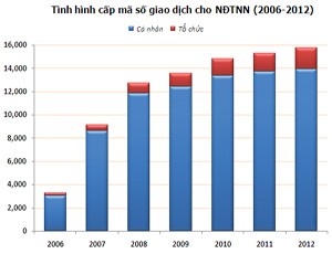 Vốn ngoại, 12 năm ở Việt Nam