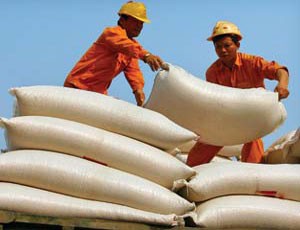 Có ý kiến cho rằng, VNF1 cần tăng tỷ trọng với ngành, nghề Kl992 VIP Trang Chủ 2026 chính