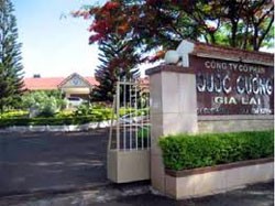 Em gái Quốc Cường vay công ty 20 tỷ đồng mua đất