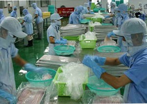 Kl991.com World Cup 2026 Chính Thức thủy sản kêu cứu