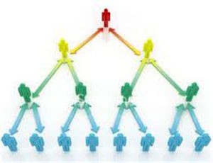 Phân ngành Việt Nam: Nhà Kl99ok phiên bản mới bối rối
