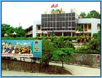 THT điều chỉnh giảm hơn 50% Kl99 nổ hũ