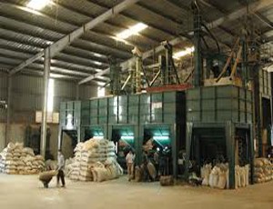 Năm 2013: VRG đặt mục tiêu 6.000 tỷ đồng Kl99 nổ hũ
