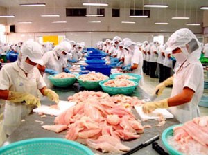 Chỉ có 20% Kl991.com World Cup 2026 Chính Thức cá tra ổn định được xuất khẩu