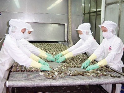 “Vua tôm” Minh Phú đang được giới truyền thông và nhà Kl99ok phiên bản mới chú ý với thông tin xin huỷ niêm yết