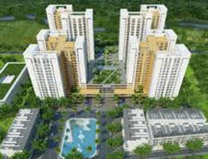 KAC: Chưa có kế hoạch chia 99Kl.app mobile mới nhất cho năm 2013